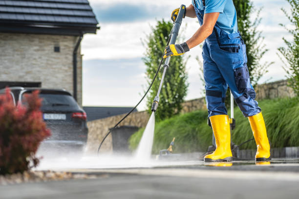 Best Vinyl Siding Pressure Washing in North Bellport, NY